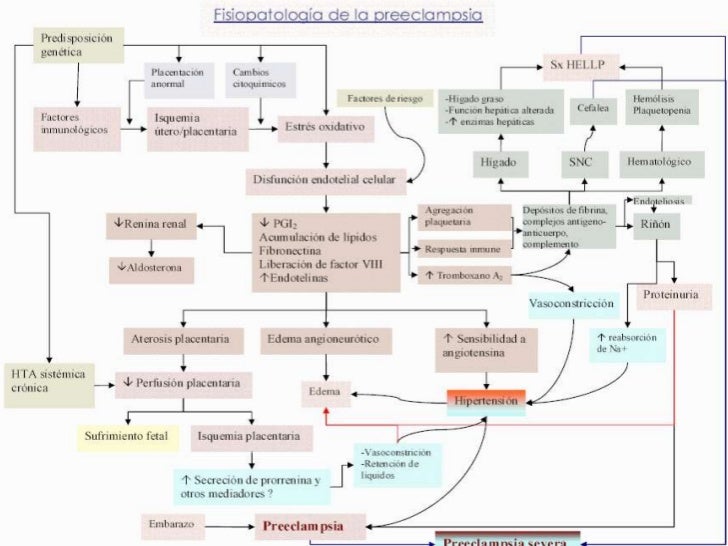 eclampsia fisiopatologia